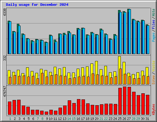 Daily usage for December 2024