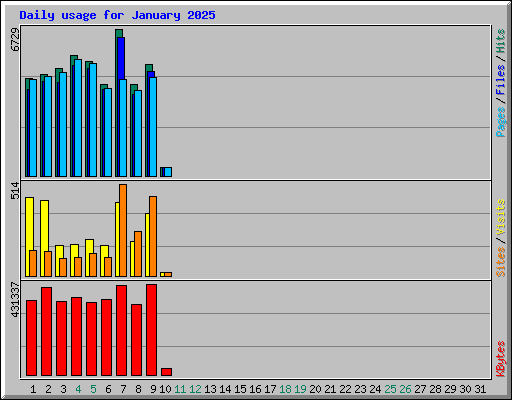 Daily usage for January 2025