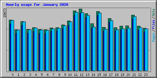 Hourly usage for January 2020