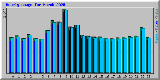 Hourly usage for March 2020