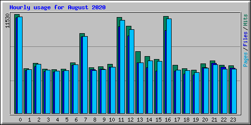 Hourly usage for August 2020