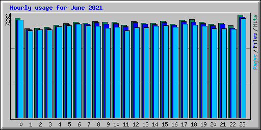 Hourly usage for June 2021