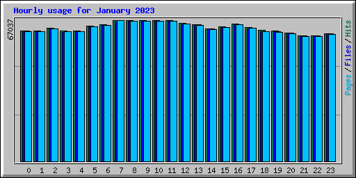 Hourly usage for January 2023