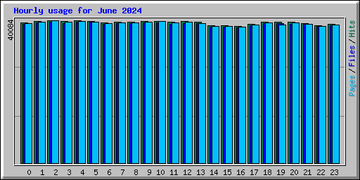 Hourly usage for June 2024