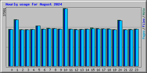 Hourly usage for August 2024