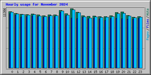 Hourly usage for November 2024