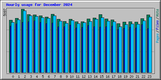 Hourly usage for December 2024