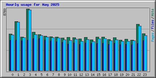 Hourly usage for May 2025