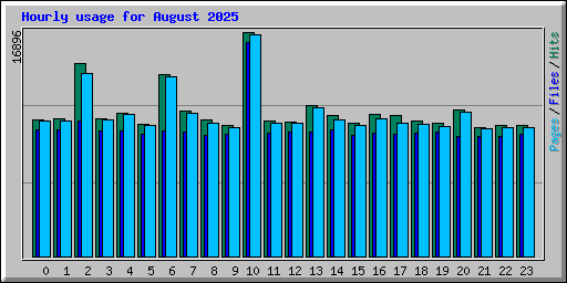 Hourly usage for August 2025