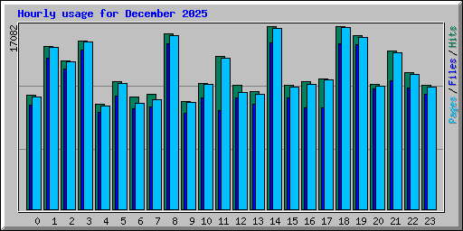 Hourly usage for December 2025