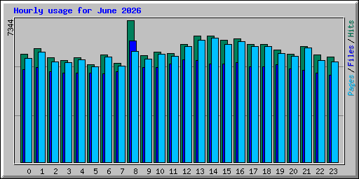 Hourly usage for June 2026