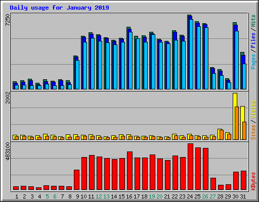 Daily usage for January 2019