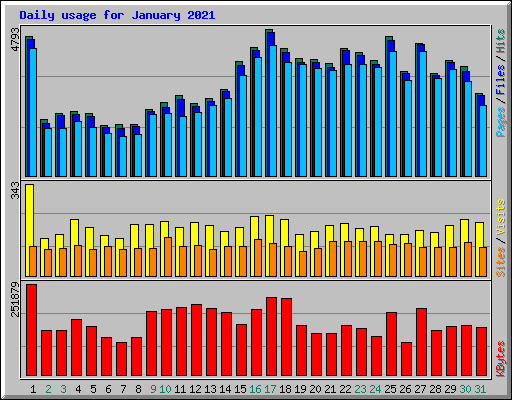 Daily usage for January 2021