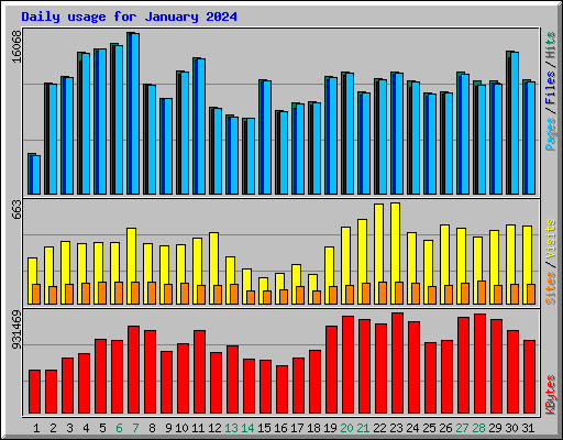 Daily usage for January 2024