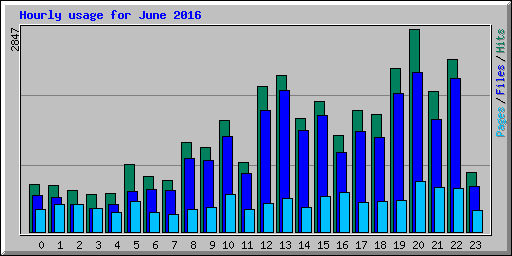 Hourly usage for June 2016