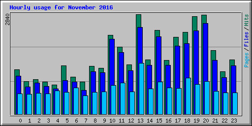 Hourly usage for November 2016