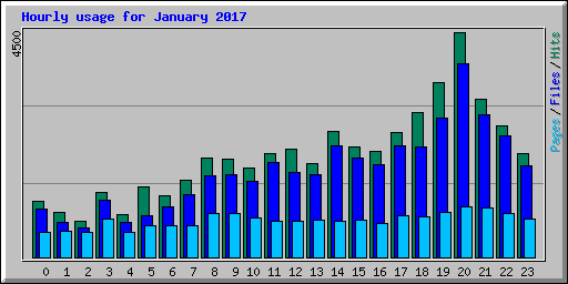 Hourly usage for January 2017