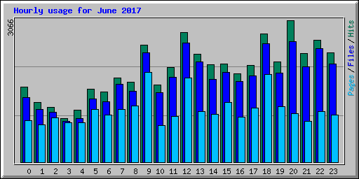 Hourly usage for June 2017