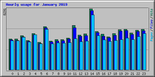 Hourly usage for January 2019