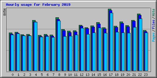 Hourly usage for February 2019