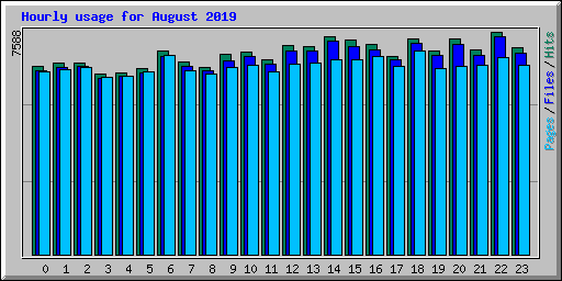 Hourly usage for August 2019