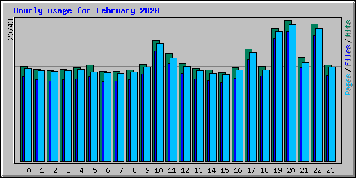 Hourly usage for February 2020