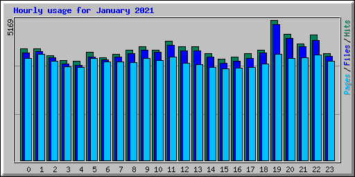 Hourly usage for January 2021