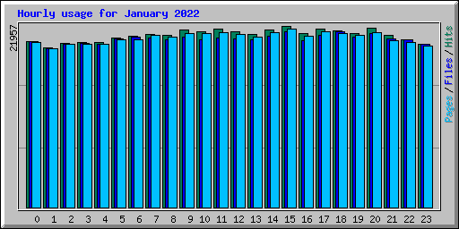 Hourly usage for January 2022