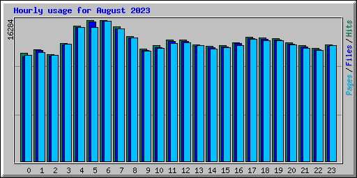 Hourly usage for August 2023