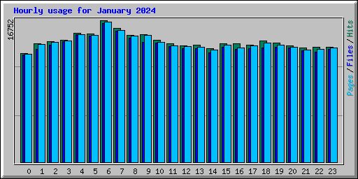 Hourly usage for January 2024