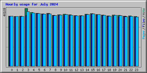 Hourly usage for July 2024