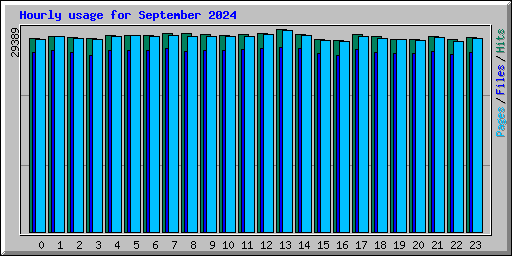 Hourly usage for September 2024