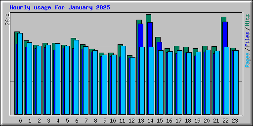 Hourly usage for January 2025