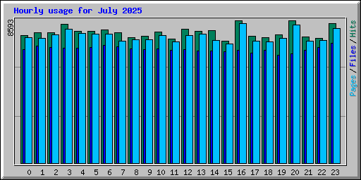 Hourly usage for July 2025