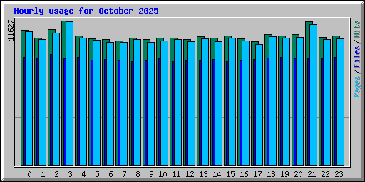 Hourly usage for October 2025