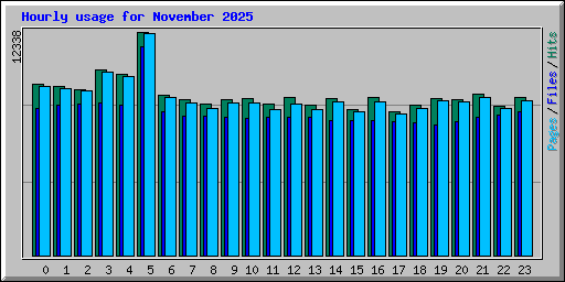 Hourly usage for November 2025