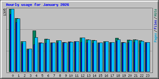 Hourly usage for January 2026
